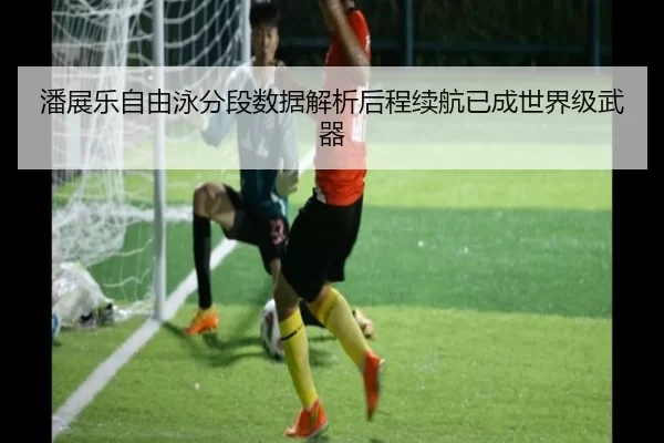 潘展乐自由泳分段数据解析后程续航已成世界级武器 | HTH